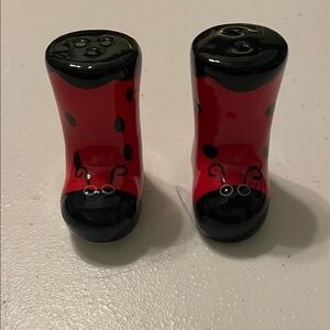 Mini Salt and Pepper Shakers Set Ladybug Boots